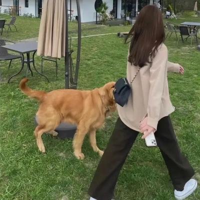 血染的舞鞋